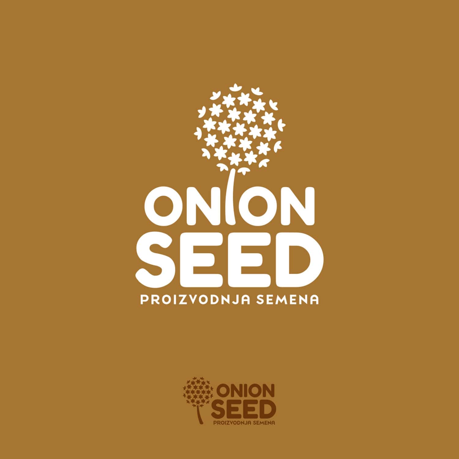 Onion Seed